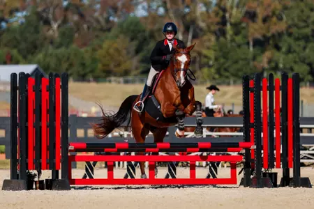 Liza Cram vs. South Carolina