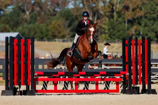 Liza Cram vs. South Carolina