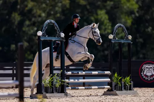 Georgia rider Madi Nadolenco during Georgia’s meet against Texas A&M at UGA Equestrian Complex in Bishop, Ga., on Saturday, Oct. 19, 2024. (Conor Dillon/UGAAA)