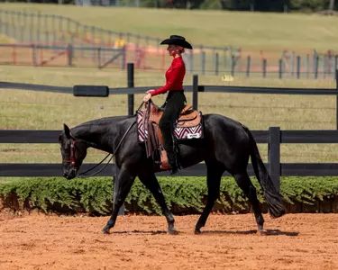 Georgia rider Jillian Stpperich during Georgia’s meet against TCU at UGA Equestrian Complex in Bishop, Ga., on Saturday, Sept. 28, 2024. (Sofia Yaker/UGAAA)