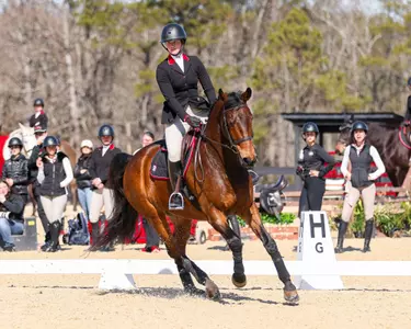 Georgia rider Ella Duffy during Georgia’s meet against Lynchburg at the UGA Equestrian Complex in Bishop, Ga., on Saturday, Feb. 1, 2025.