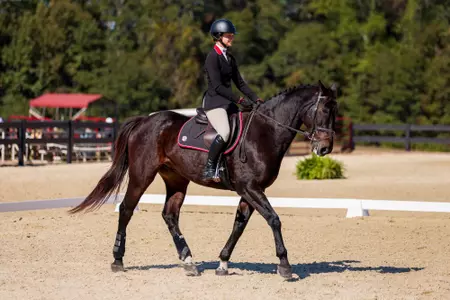 Georgia rider Sophia Pilla during Georgia’s meet against SMU at UGA Equestrian Complex in Bishop, Ga., on Friday, Oct. 18, 2024.