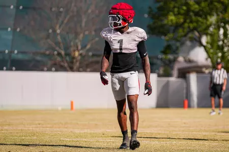 Redshirt freshman defensive back Ellis Robinson IV during spring practice.