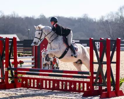 Georgia rider Liza Cram during Georgia’s meet against Lynchburg at the UGA Equestrian Complex in Bishop, Ga., on Saturday, Feb. 1, 2025. (Sofia Yaker/UGAAA)