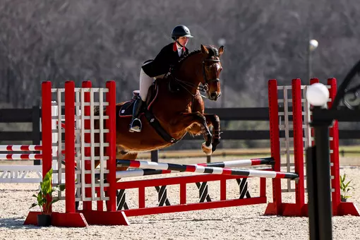Georgia rider Tessa Brown during Georgia’s meet against Texas A&M at the UGA Equestrian Complex in Bishop, Ga., on Saturday, Feb. 7, 2026. (Sofia Yaker/UGAAA)