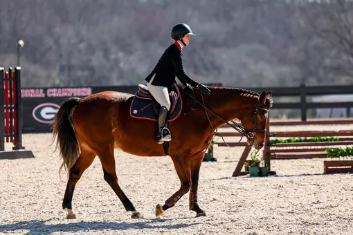 Georgia rider Tessa Brown during Georgia’s meet against Texas A&M at the UGA Equestrian Complex in Bishop, Ga., on Saturday, Feb. 7, 2026. (Sofia Yaker/UGAAA)