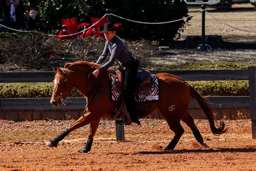 Georgia rider Shelby Lynch during Georgia’s meet against Texas A&M at the UGA Equestrian Complex in Bishop, Ga., on Saturday, Feb. 7, 2026. (Sofia Yaker/UGAAA)