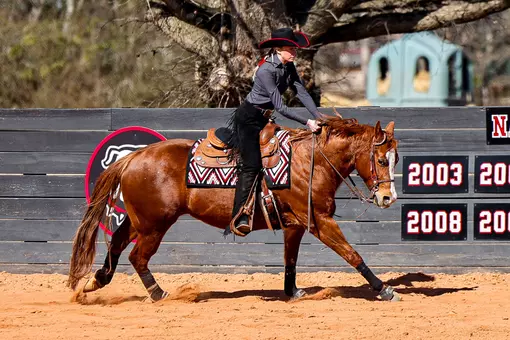 Georgia rider Raegan Shepherd during Georgia’s meet against Texas A&M at the UGA Equestrian Complex in Bishop, Ga., on Saturday, Feb. 7, 2026. (Sofia Yaker/UGAAA)