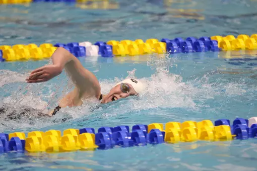 SEC Swimming and Diving Championships at Allan Jones Aquatic Center in Knoxville, TN on February 20, 2026. Photo by Randy Sartin Photography.