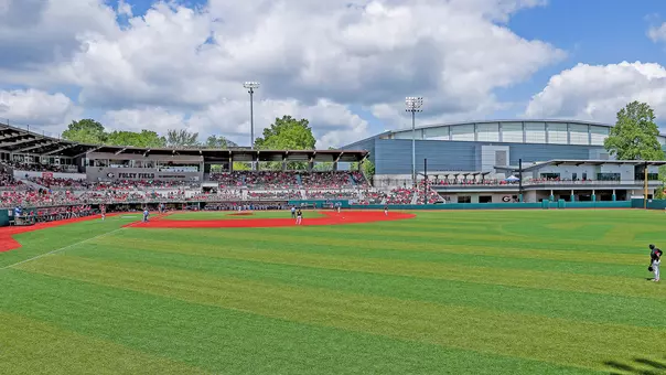 Baseball fans during Georgia’s game against Oklahoma at Foley Field in Athens, Ga., on Saturday, April 26, 2025. (Conor Dillon/UGAAA)