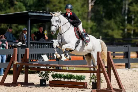 Georgia's Tessa Brown vs. Baylor