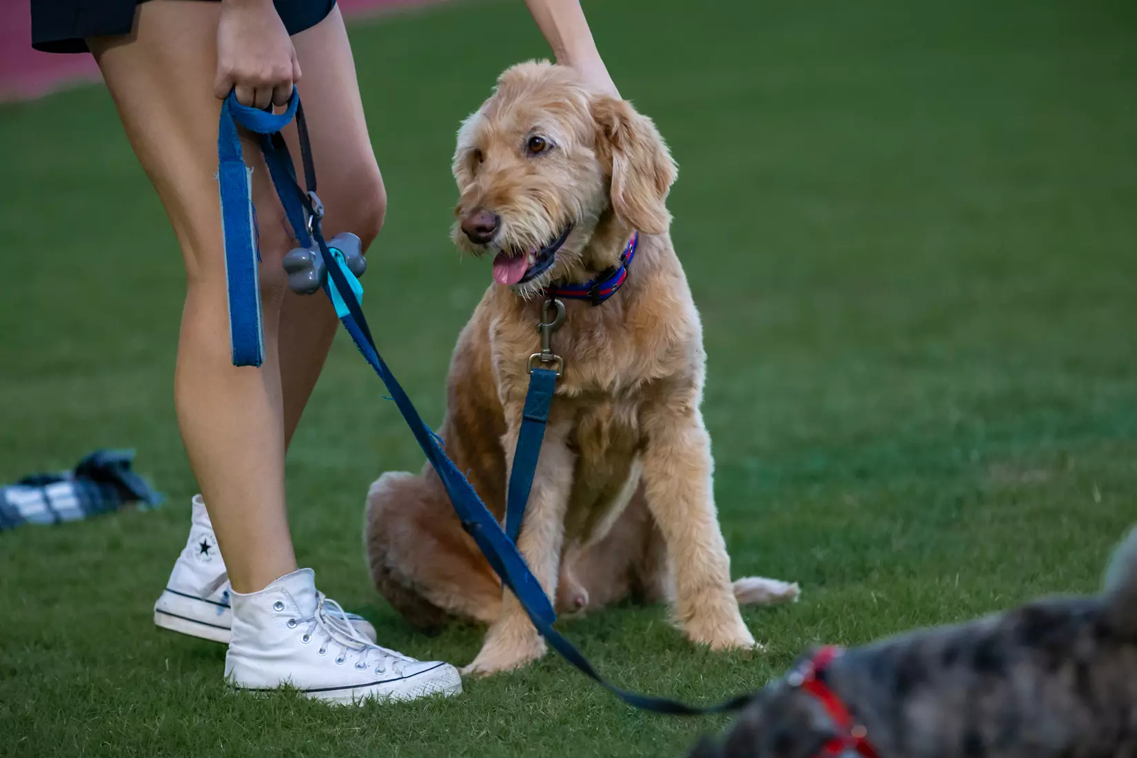 STATESBORO, GEORGIA - AUGUST 26: Georgia Southern Eagles Men’s Soccer faces Presbyterian College Blue Hose on Eagle Field at the Erk Russell Athletic Park on August 26, 2021 in Statesboro, Georgia.
