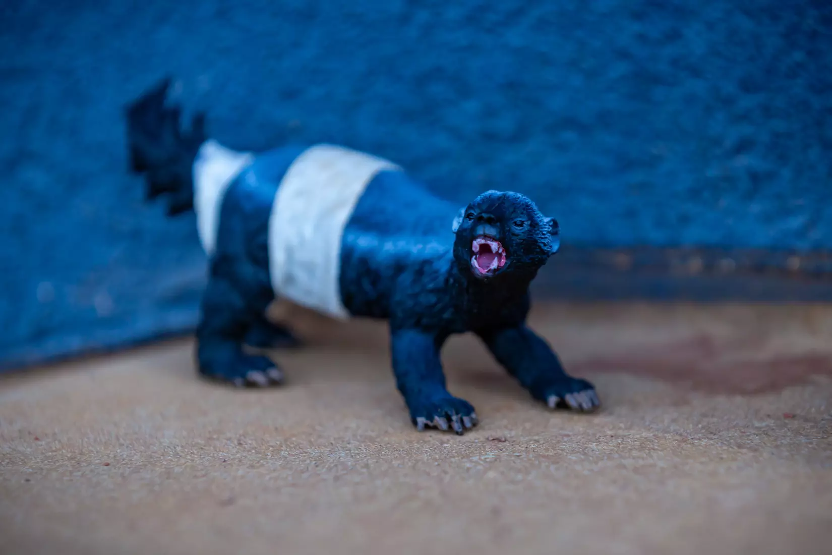 STATESBORO, GEORGIA - FEBRUARY 18: Georgia Southern Softball faces the UT Martin Skyhawks at Eagle Field on February 18, 2022 in Statesboro, Georgia