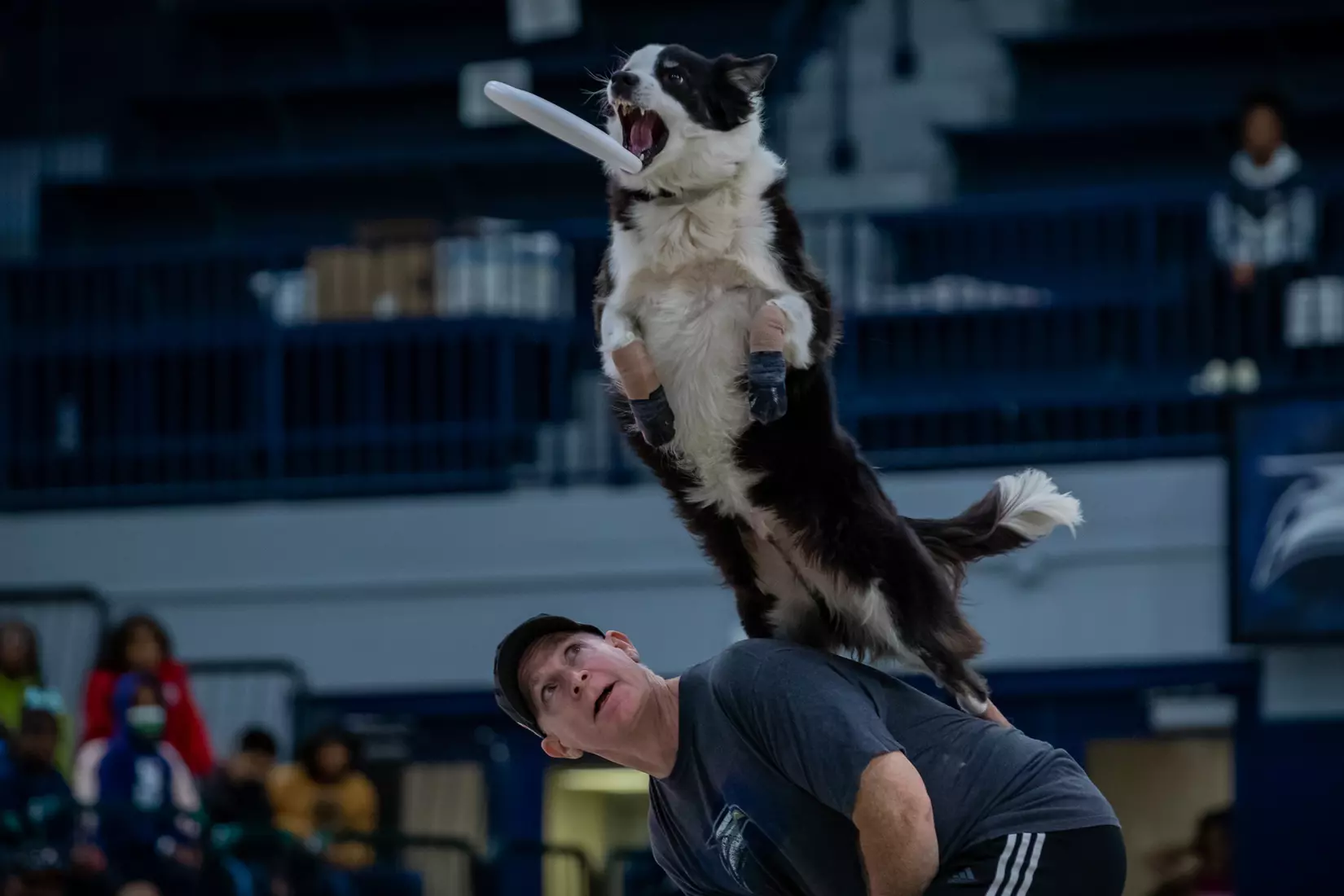 STATESBORO, GEORGIA - DECEMBER 13: Georgia Southern Women’s Basketball faces the Carver College Cougars at Hanner Fieldhouse on December 13, 2021 in Statesboro, Georgia