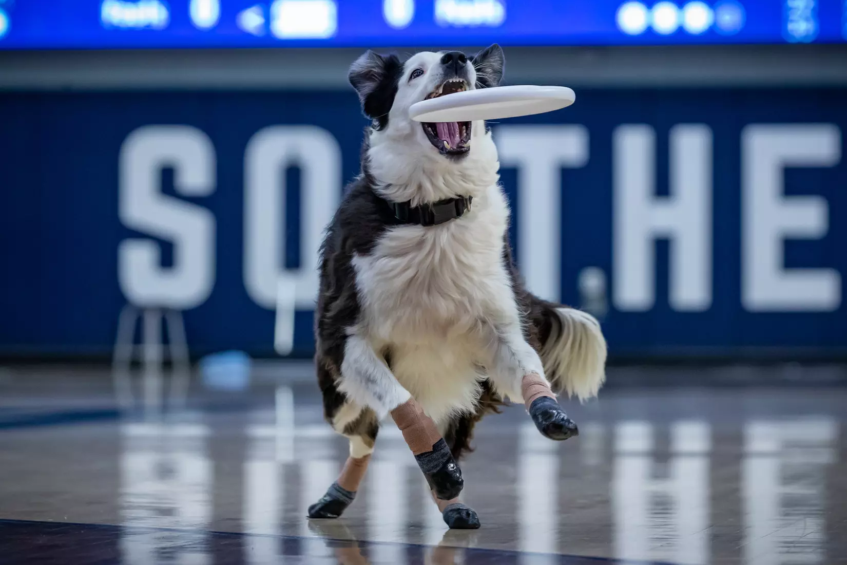 STATESBORO, GEORGIA - DECEMBER 13: Georgia Southern Women’s Basketball faces the Carver College Cougars at Hanner Fieldhouse on December 13, 2021 in Statesboro, Georgia