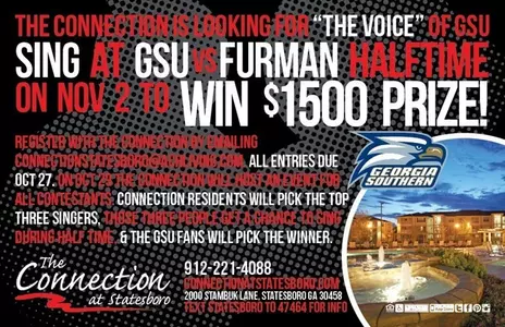 Connection The Voice