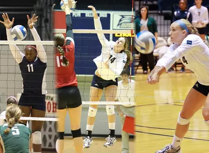 2013 Volleyball Seniors