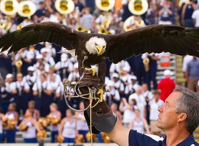 Freedom at Paulson Stadium