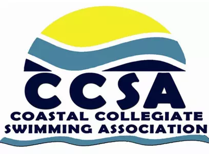 CCSA logo