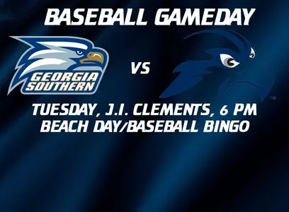 Baseball Gameday North Florida