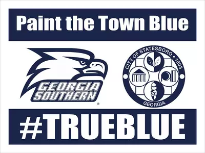 Paint the Town Blue Sign