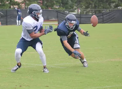 Dobson dives, and hits the ground, on a pass breakup