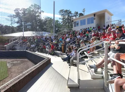 Softball Packed Stands