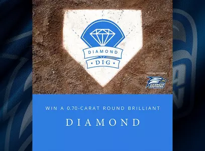 Diamond Dig Web