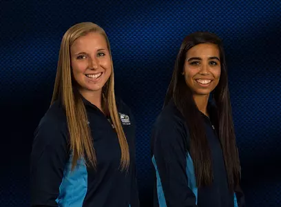 Wittick and El-Shami