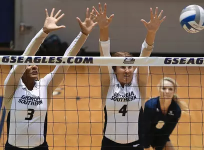 Volleyball Block - 2015