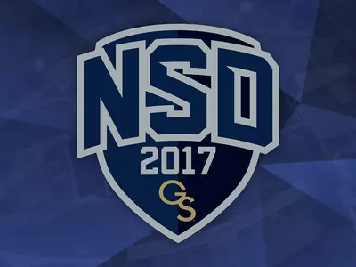 NSD17
