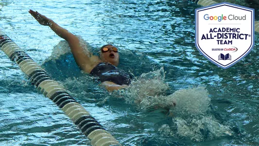 Elizabeth Chemey AAD 2019