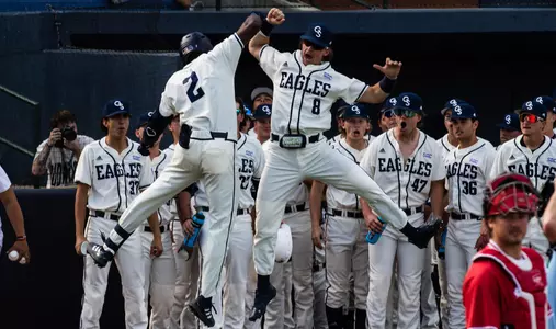 Baseball Celebration