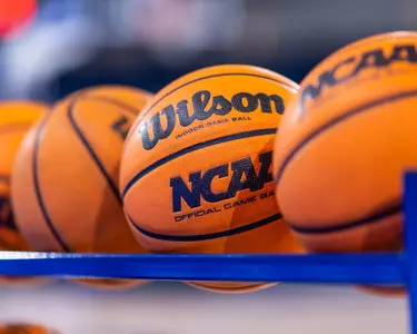 WBB Basketball Stock 2025