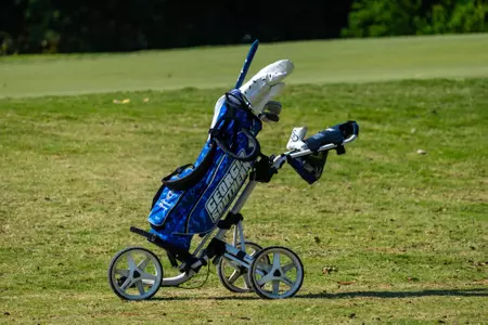 Women's Golf Stock