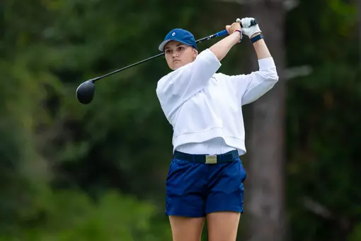 brejo the southern d1