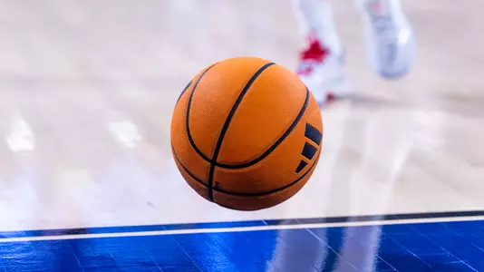 Stock Basketball - Troy