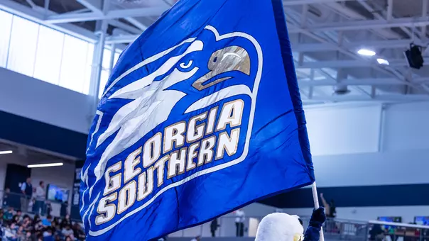 Stock Flag - The Hill