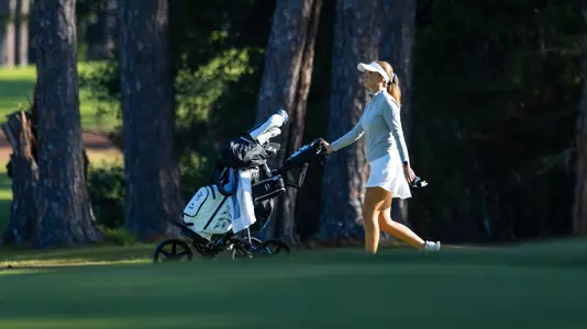 Ida Lundh - The Southern