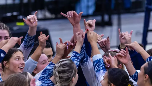 Volleyball Stock Image