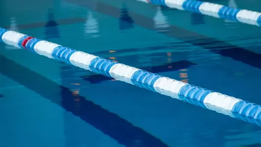 Swim & Dive Stock