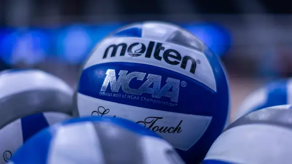 Stock Volleyballs - AVCA Release