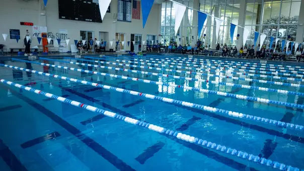 Swim and Dive Stock