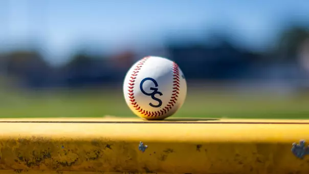 Baseball Stock