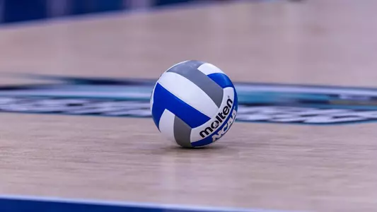 Stock Volleyball - Jacksonville
