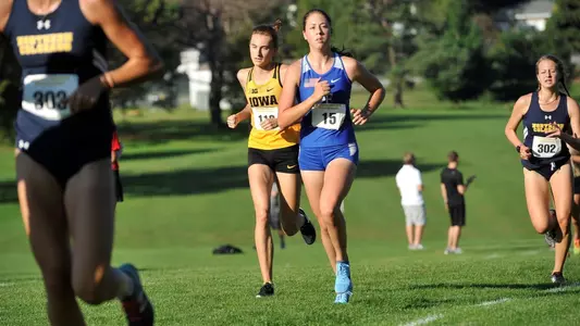 Hansen_GreenoDirksenInv18