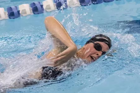 Elisabeth Brechbuhl Free