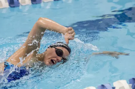 Shayle Finnesand Free