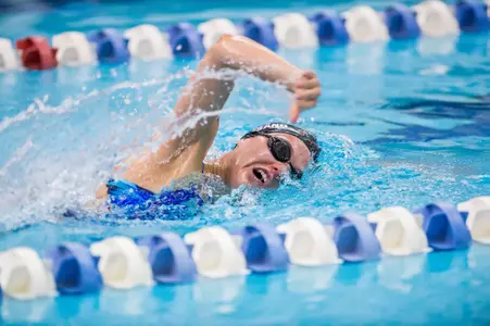 Shayle Finnesand Free