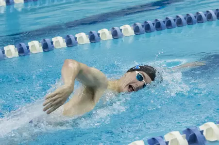 Benjamin Settle Free